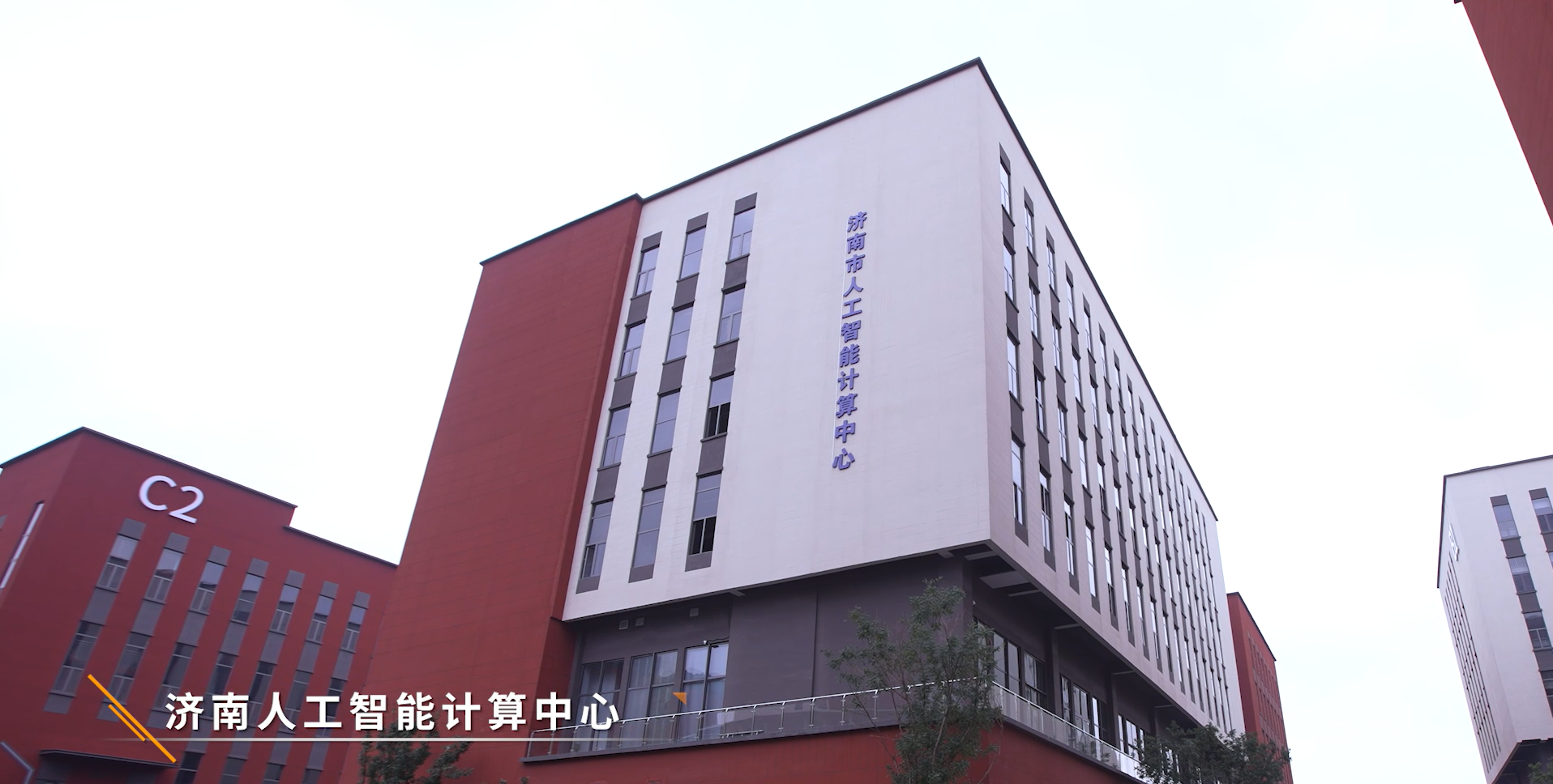 蜂鸟电竞科...